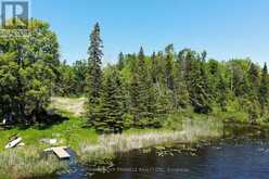 0 PEARCE ROAD | Kawartha Lakes Ontario | Slide Image Twenty-one