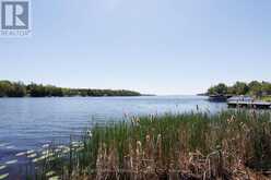 0 PEARCE ROAD | Kawartha Lakes Ontario | Slide Image Thirty-two