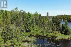 0 PEARCE ROAD | Kawartha Lakes Ontario | Slide Image Twenty-two
