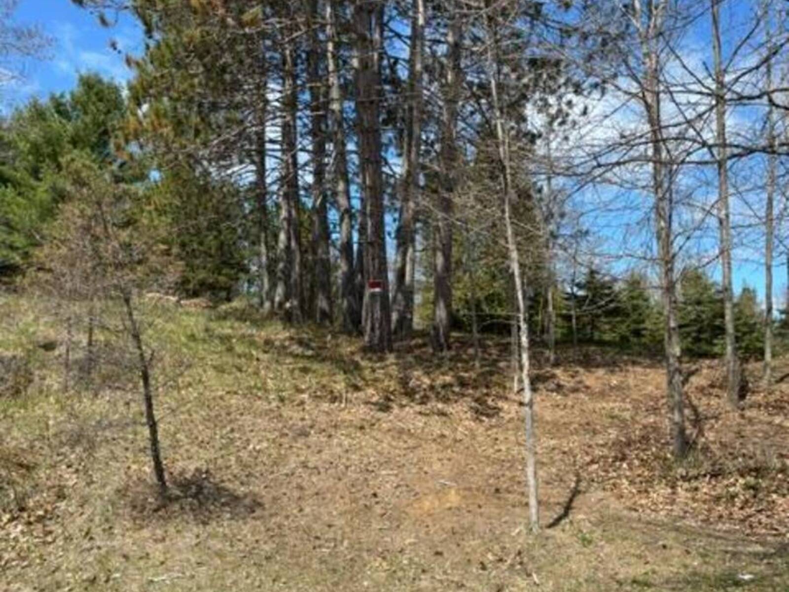 26686 HIGHWAY 62 S, Bancroft, Ontario K0L 1C0