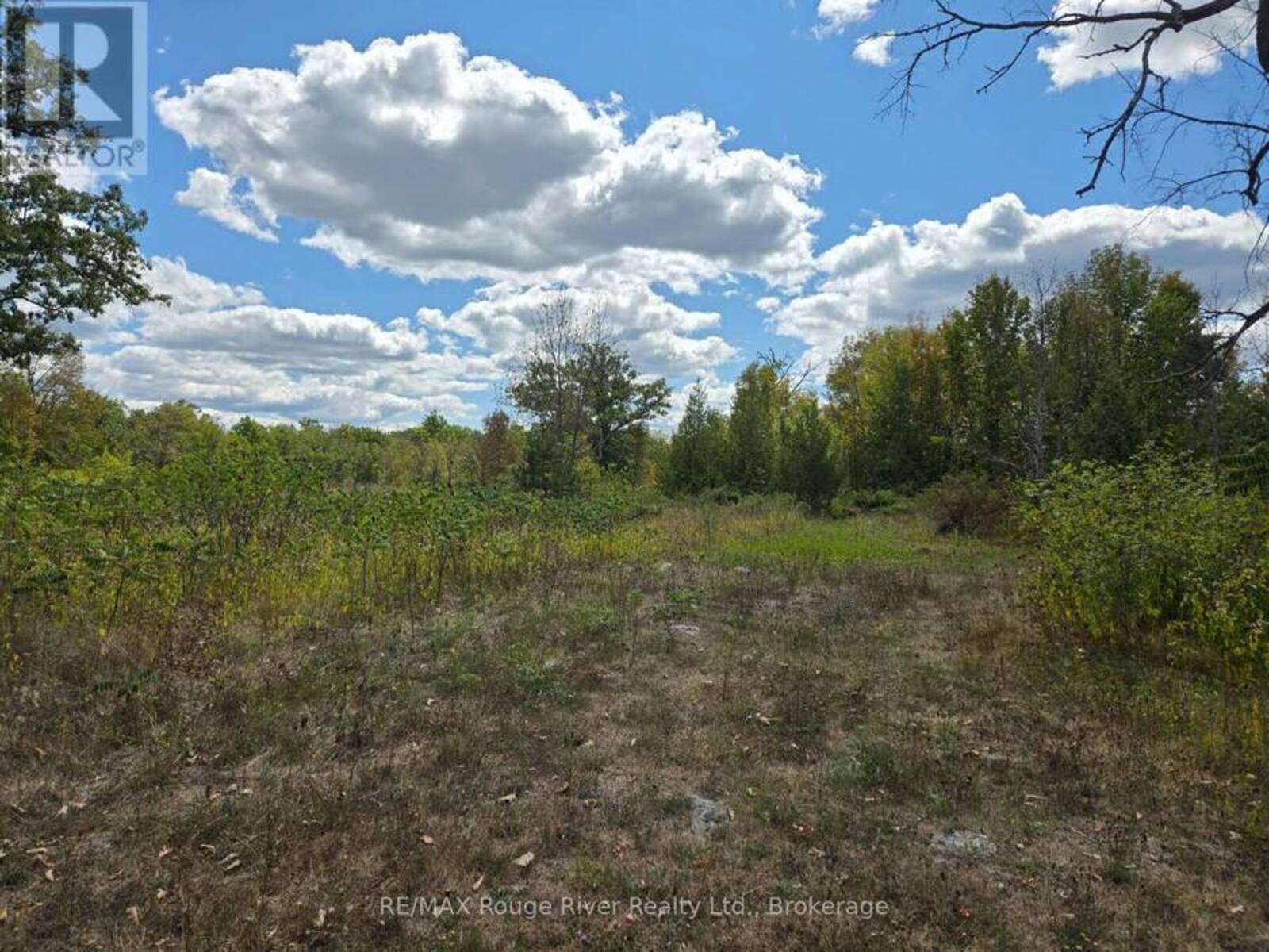 103080 HIGHWAY 7 HIGHWAY E, Marmora, Ontario K0K 2M0