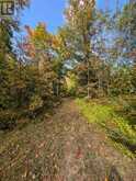103080 HIGHWAY 7 HIGHWAY E | Marmora Ontario | Slide Image Two
