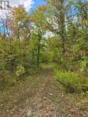 103080 HIGHWAY 7 HIGHWAY E | Marmora Ontario | Slide Image Four