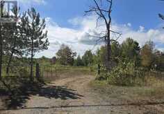 103080 HIGHWAY 7 HIGHWAY E | Marmora Ontario | Slide Image Six