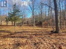 12577 LOYALIST PARKWAY NE | Prince Edward Ontario | Slide Image Nine