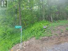 12577 LOYALIST PARKWAY NE | Prince Edward Ontario | Slide Image Two