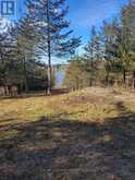 12577 LOYALIST PARKWAY NE | Prince Edward Ontario | Slide Image Ten