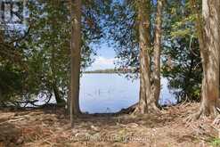 00 LAKEVIEW DRIVE | Campbellford Ontario | Slide Image Fifteen