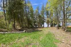 00 LAKEVIEW DRIVE | Campbellford Ontario | Slide Image Eighteen