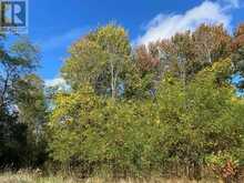 618 CHRISTIAN ROAD | Prince Edward Ontario | Slide Image Nine