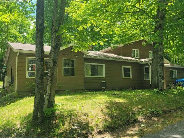 1234 UPPER PAUDASH LAKE ROAD Bancroft Ontario, K0L 1C0 - 3 Bedrooms Home For Sale