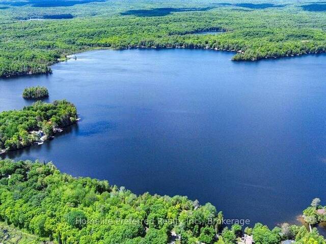 1234 UPPER PAUDASH LAKE ROAD Bancroft Ontario, K0L 1C0 - 3 Bedrooms Home For Sale