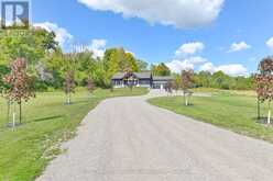 12564 COUNTY RD 2 ROAD | Alnwick-Haldimand Ontario | Slide Image Two