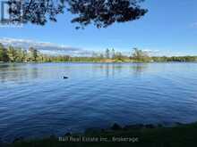 1855 SOUTH BAYSHORE ROAD E | North Kawartha Ontario | Slide Image Three