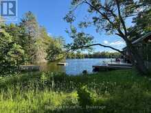 1855 SOUTH BAYSHORE ROAD E | North Kawartha Ontario | Slide Image Forty-seven