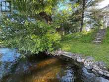 1855 SOUTH BAYSHORE ROAD E | North Kawartha Ontario | Slide Image Seven