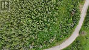 0 MUSCLOW GREENVIEW ROAD | Bancroft Ontario | Slide Image Three