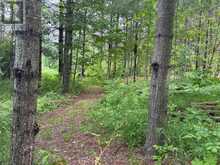 PT LT 11 CON 7 RANCHERS ROAD | Kawartha Lakes Ontario | Slide Image Ten