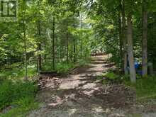 PT LT 11 CON 7 RANCHERS ROAD | Kawartha Lakes Ontario | Slide Image Nineteen