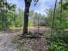 PT LT 11 CON 7 RANCHERS ROAD | Kawartha Lakes Ontario | Slide Image Three