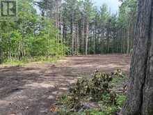PT LT 11 CON 7 RANCHERS ROAD | Kawartha Lakes Ontario | Slide Image Four