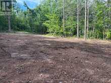 PT LT 11 CON 7 RANCHERS ROAD | Kawartha Lakes Ontario | Slide Image Six