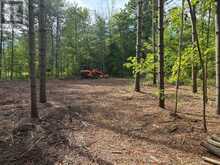 PT LT 11 CON 7 RANCHERS ROAD | Kawartha Lakes Ontario | Slide Image Seven