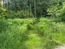 PT LT 11 CON 7 RANCHERS ROAD | Kawartha Lakes Ontario | Slide Image Nine