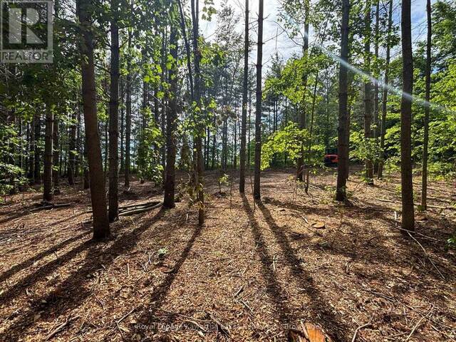 PT LT 11 CON 7 RANCHERS ROAD Kawartha Lakes Ontario, K0M 1G0 - Vacant Land For Sale