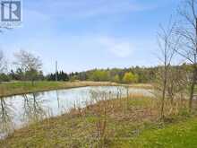 1049 COUNTY ROAD 23 | Belleville Ontario | Slide Image Forty-eight