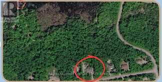 139 LAKELAND AVENUE | North Kawartha Ontario | Slide Image Forty-three