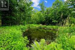 559 COUNTY ROAD 47 ROAD N | Havelock-Belmont-Methuen Ontario | Slide Image Nine