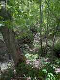 559 COUNTY ROAD 47 ROAD N | Havelock-Belmont-Methuen Ontario | Slide Image Thirty-six