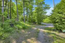 14231 LITTLE LAKE ROAD | Quinte West Ontario | Slide Image Thirty-four
