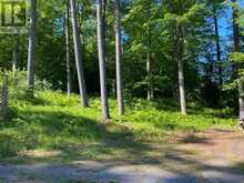 14231 LITTLE LAKE ROAD | Quinte West Ontario | Slide Image Thirty-six