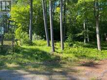 14231 LITTLE LAKE ROAD | Quinte West Ontario | Slide Image Thirty-seven