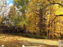 2315 COUNTY RD 45 ROAD | Asphodel-Norwood Ontario | Slide Image Thirty