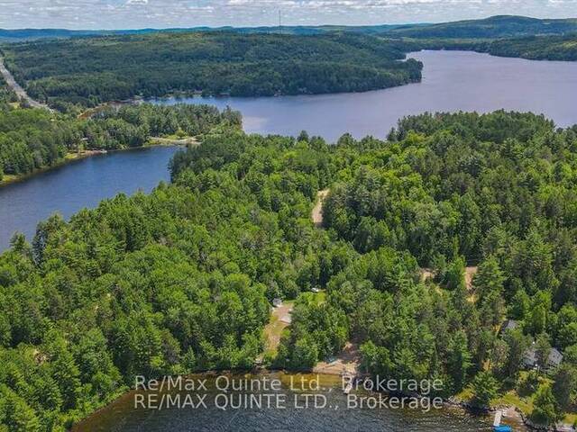 76 CARSON HEIGHTS Madawaska Valley Ontario, K0J 1B0 - Waterfront Land For Sale
