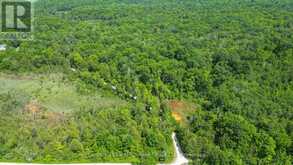 932 HUNT CLUB ROAD | Madoc Ontario | Slide Image Thirty-eight