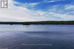 2548 BIRDS HILL LANE | North Kawartha Ontario | Slide Image One
