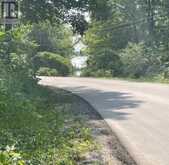 0 BALSAM LAKE DRIVE | Kawartha Lakes Ontario | Slide Image Five