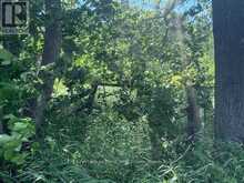 0 BALSAM LAKE DRIVE | Kawartha Lakes Ontario | Slide Image Three