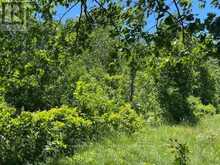 0 BALSAM LAKE DRIVE | Kawartha Lakes Ontario | Slide Image Seventeen