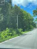 0 BALSAM LAKE DRIVE | Kawartha Lakes Ontario | Slide Image Nineteen
