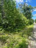 0 BALSAM LAKE DRIVE | Kawartha Lakes Ontario | Slide Image Thirteen