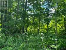 0 BALSAM LAKE DRIVE | Kawartha Lakes Ontario | Slide Image Fifteen