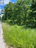 0 BALSAM LAKE DRIVE | Kawartha Lakes Ontario | Slide Image Sixteen