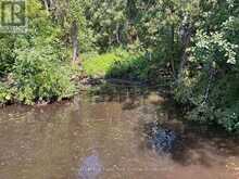 0 BALSAM LAKE DRIVE | Kawartha Lakes Ontario | Slide Image One