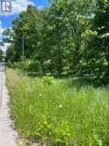 0 BALSAM LAKE DRIVE | Kawartha Lakes Ontario | Slide Image Twenty-one