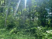0 BALSAM LAKE DRIVE | Kawartha Lakes Ontario | Slide Image Six